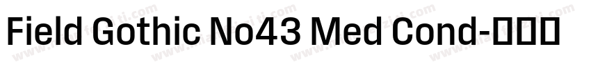 Field Gothic No43 Med Cond字体转换